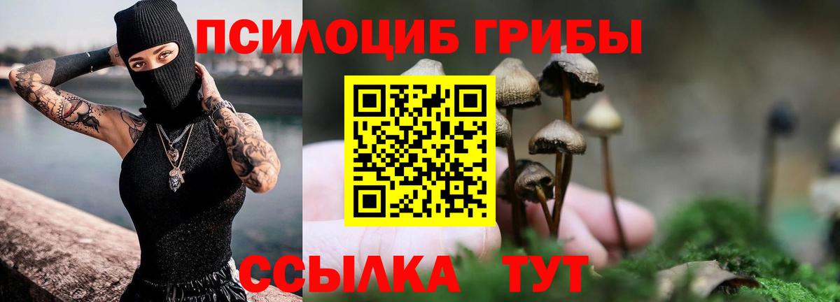 Ростов Великий  что такое   Псилоцибиновые грибы MAGIC MUSHROOMS  Вход с VPN  Галлюциногенные грибы GOLDEN TEACHER 